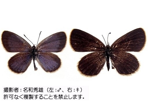 写真を拡大表示します 写真を拡大表示します