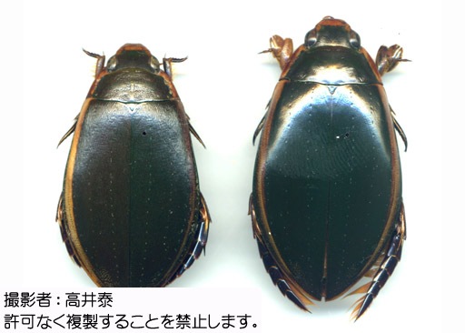写真を拡大表示します 写真を拡大表示します