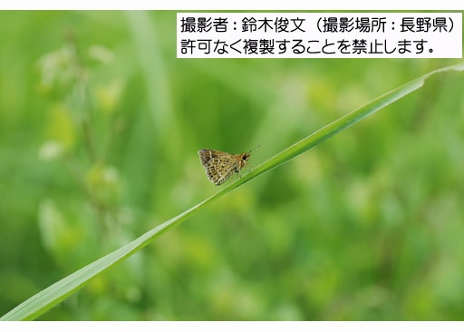 写真を拡大表示します 写真を拡大表示します