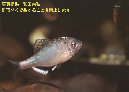 写真を拡大表示します 写真を拡大表示します