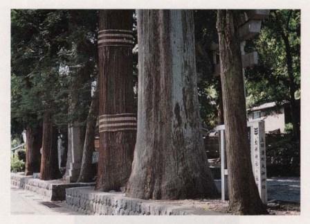 大神神社