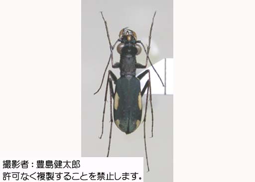 写真を拡大表示します 写真を拡大表示します