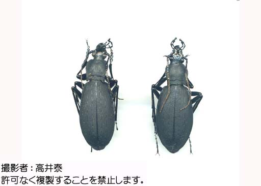写真を拡大表示します 写真を拡大表示します