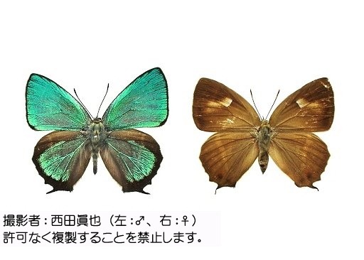 写真を拡大表示します 写真を拡大表示します