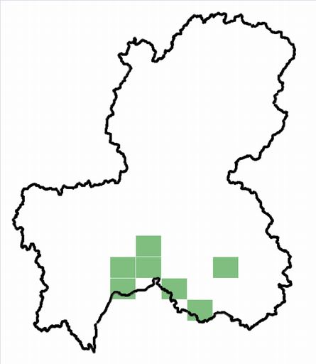 分布情報図を拡大表示します