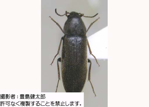 写真を拡大表示します 写真を拡大表示します
