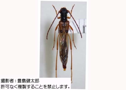 写真を拡大表示します 写真を拡大表示します