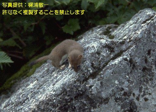 写真を拡大表示します 写真を拡大表示します