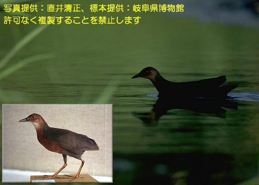 写真を拡大表示します 写真を拡大表示します
