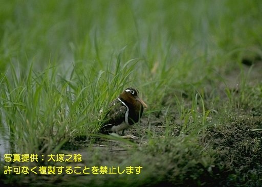 写真を拡大表示します 写真を拡大表示します