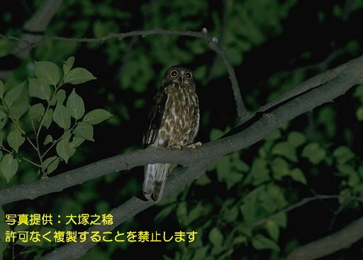 写真を拡大表示します 写真を拡大表示します