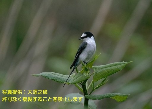 写真を拡大表示します 写真を拡大表示します