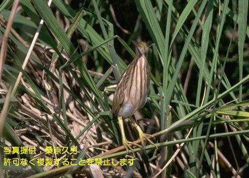 写真を拡大表示します 写真を拡大表示します