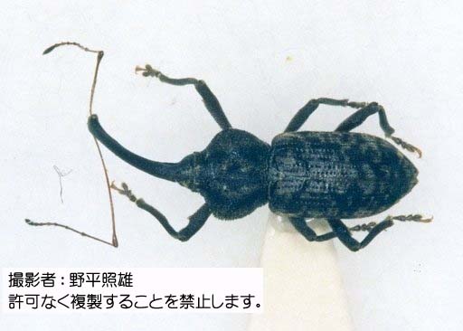 写真を拡大表示します 写真を拡大表示します
