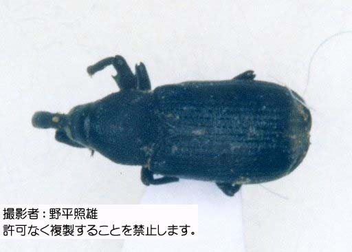 写真を拡大表示します 写真を拡大表示します