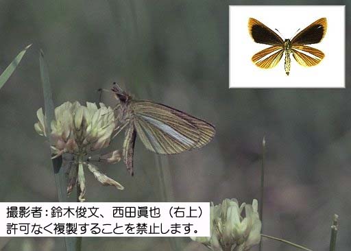 写真を拡大表示します 写真を拡大表示します