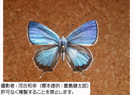 写真を拡大表示します 写真を拡大表示します