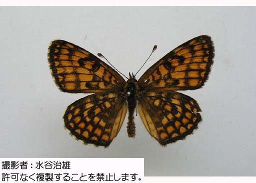写真を拡大表示します 写真を拡大表示します