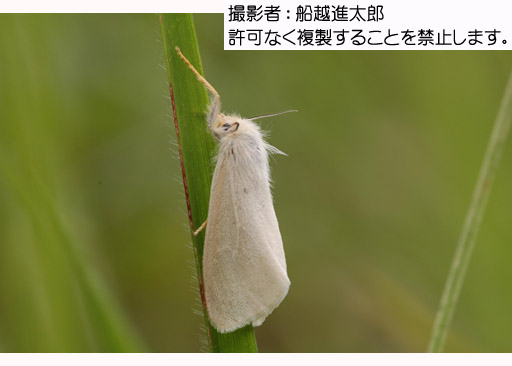 写真を拡大表示します 写真を拡大表示します