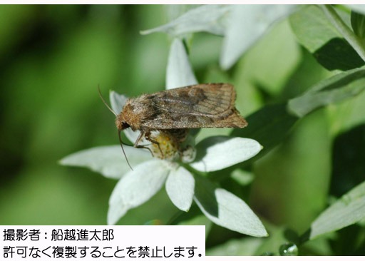 写真を拡大表示します 写真を拡大表示します