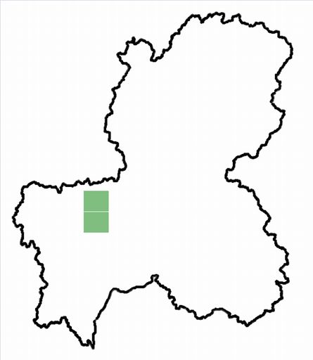 分布情報図を拡大表示します 分布情報図を拡大表示します
