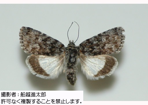 写真を拡大表示します 写真を拡大表示します