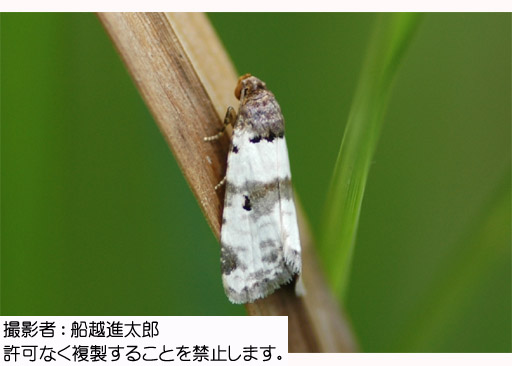 写真を拡大表示します 写真を拡大表示します