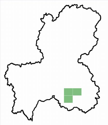 分布情報図を拡大表示します 分布情報図を拡大表示します