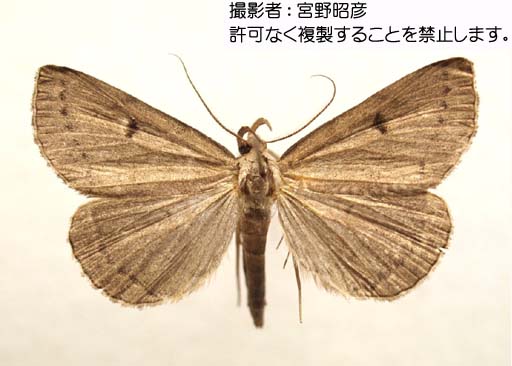 写真を拡大表示します 写真を拡大表示します
