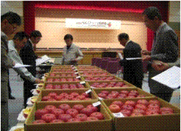 農産物のブランド化を図るための品評会の開催（飛騨リンゴ品評会）