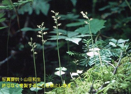 写真を拡大表示します 写真を拡大表示します