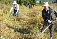 住民協働による耕作放棄地の草刈