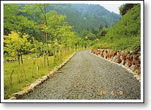 作業用の道路を開設