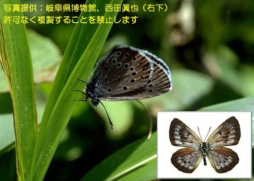 写真を拡大表示します 写真を拡大表示します