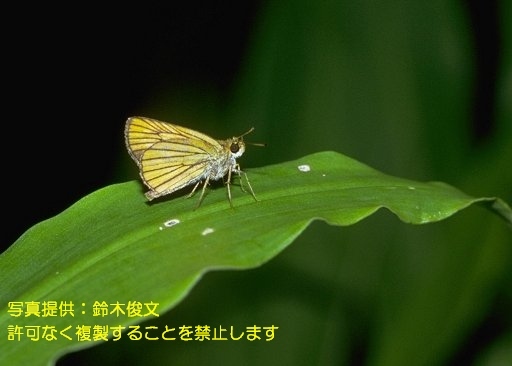 写真を拡大表示します 写真を拡大表示します