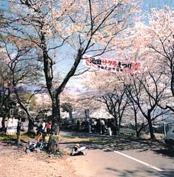 霞間ヶ渓
