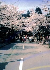 谷汲山華厳寺の門前