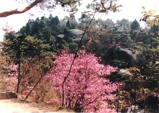 鬼岩公園 鬼岩公園
