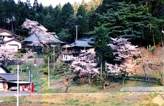 黄梅院