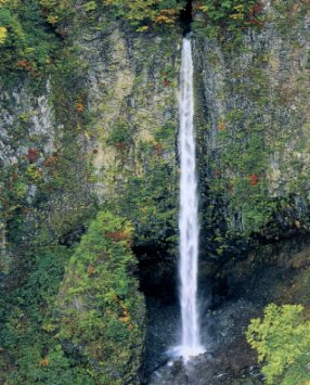 ​白水の滝（白川村）の画像