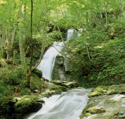 宇津江四十八滝県立自然公園