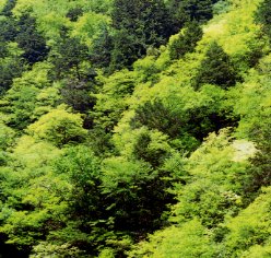 裏木曽県立自然公園