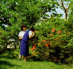 位山舟山県立自然公園