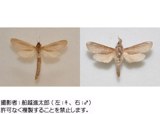 写真を拡大表示します 写真を拡大表示します