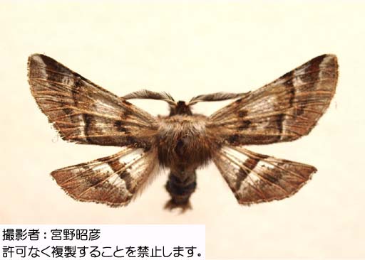 写真を拡大表示します 写真を拡大表示します