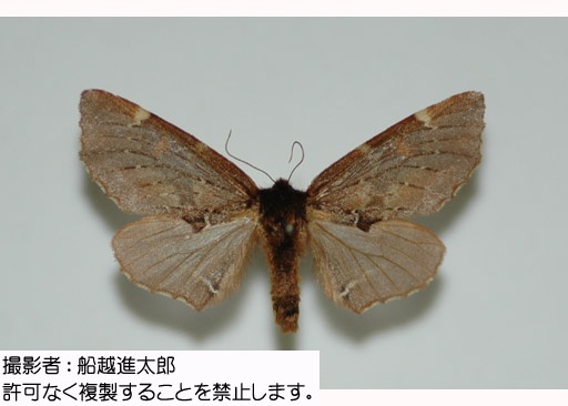 写真を拡大表示します 写真を拡大表示します