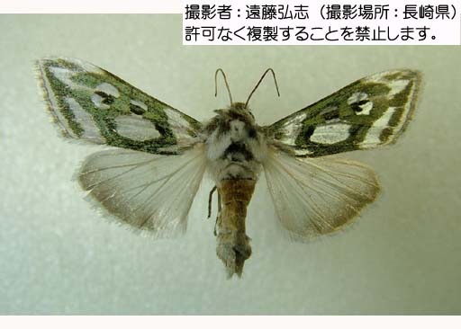写真を拡大表示します 写真を拡大表示します