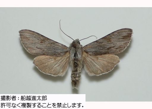 写真を拡大表示します 写真を拡大表示します