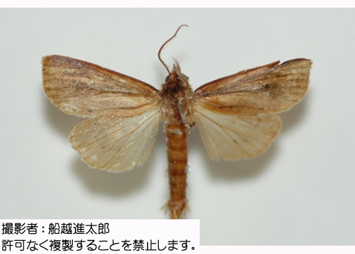 写真を拡大表示します 写真を拡大表示します