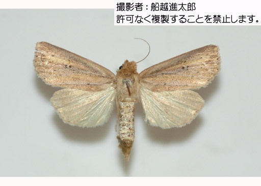 写真を拡大表示します 写真を拡大表示します